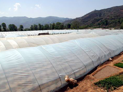 Important factors of greenhouse construction